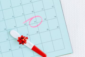 Due Date Calculator